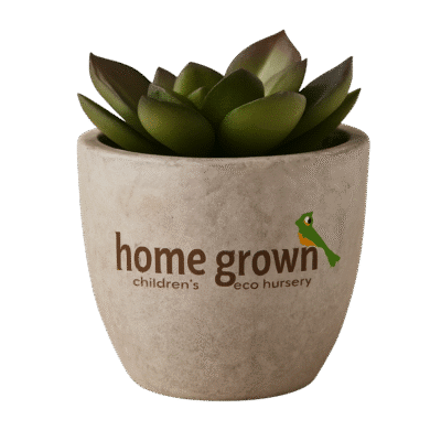 Decorative Artificial Plant