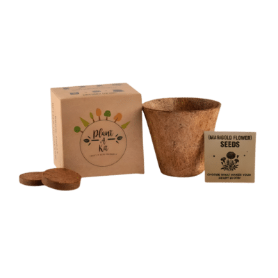 Marigold Seed Plantable Kit