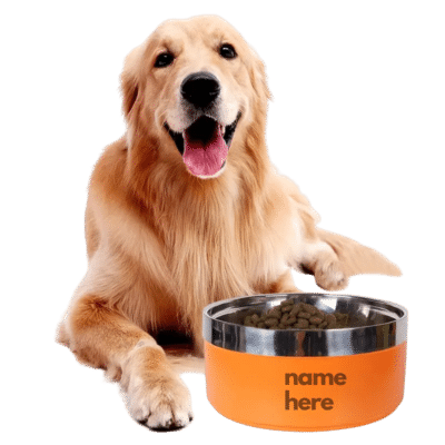 Pet Food Bowl